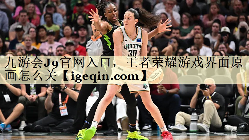 3377体育官网入口，王者荣耀游戏界面原画怎么关